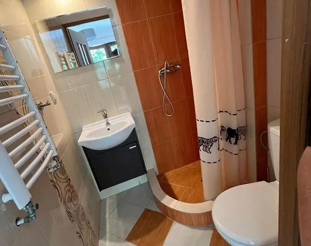 Guest house & Gabi 3*